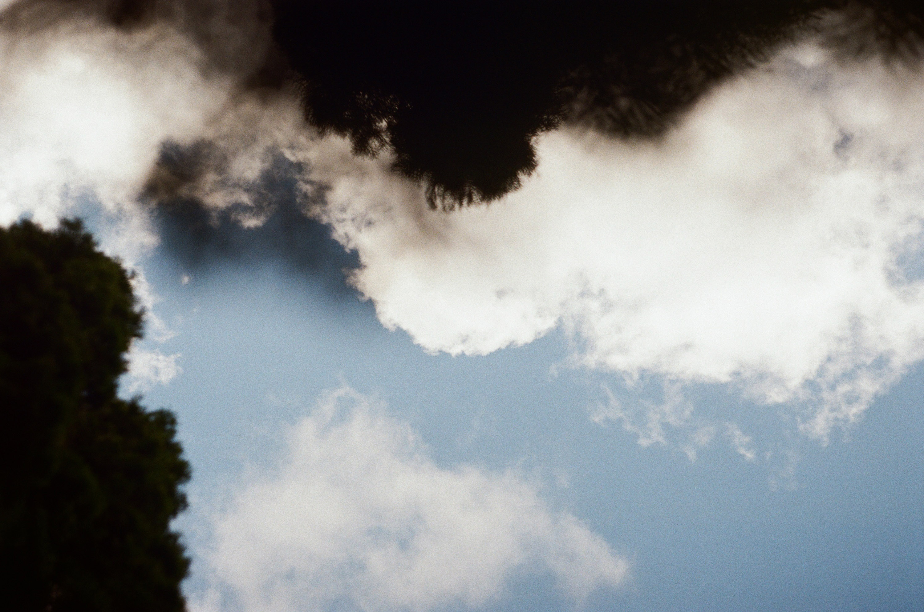 лонг-ли-рид-ли